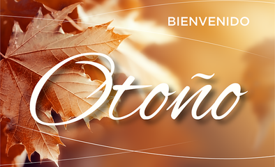 Bienvenido otonio news site