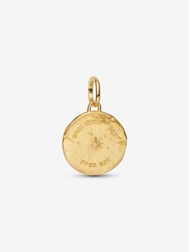 Medallon PANDORA Shine golondrina