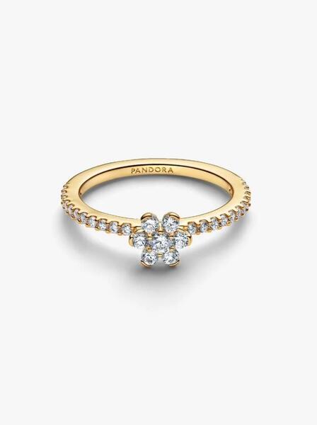 Gallery a29766 dmavlchv