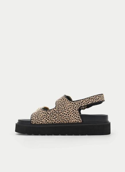 Gallery a29624 cweccey7